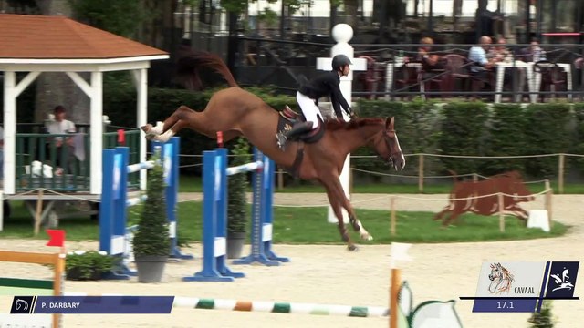 Grand National FFE - AC Print - CSO | Compiègne (FRA) | Pierre Louis DARBARY | VANILLE DE LAUNAY