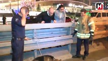 Maltepe D-100'de aracın çarptığı köpek kurtarılamadı