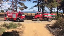 Çanakkale'de yangın! 2 hektar makilik alan zarar gördü
