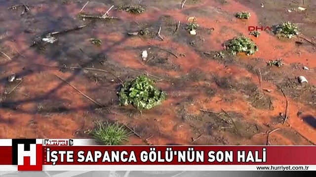 İŞTE SAPANCA GÖLÜ'NÜN SON HALİ