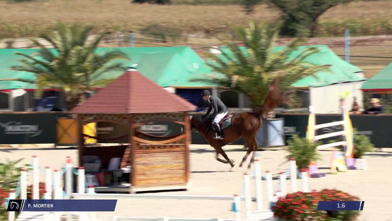 Grand National FFE - AC Print - CSO | Mâcon Chaintré (FRA) | Pierre Alain MORTIER | EUPHORY DES FORETS