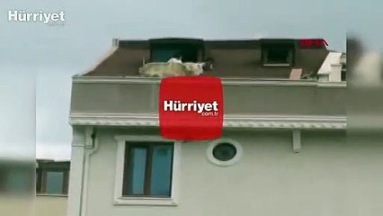 Sultanbeyli'de çocukların çatıdaki tehlikeli oyunu kamerada