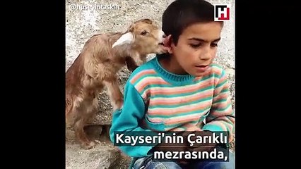Anadolu insanının masumiyeti...
