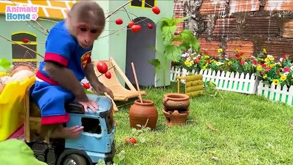 Chef BiBi in Pretend Play Cooking Video for Toddlers