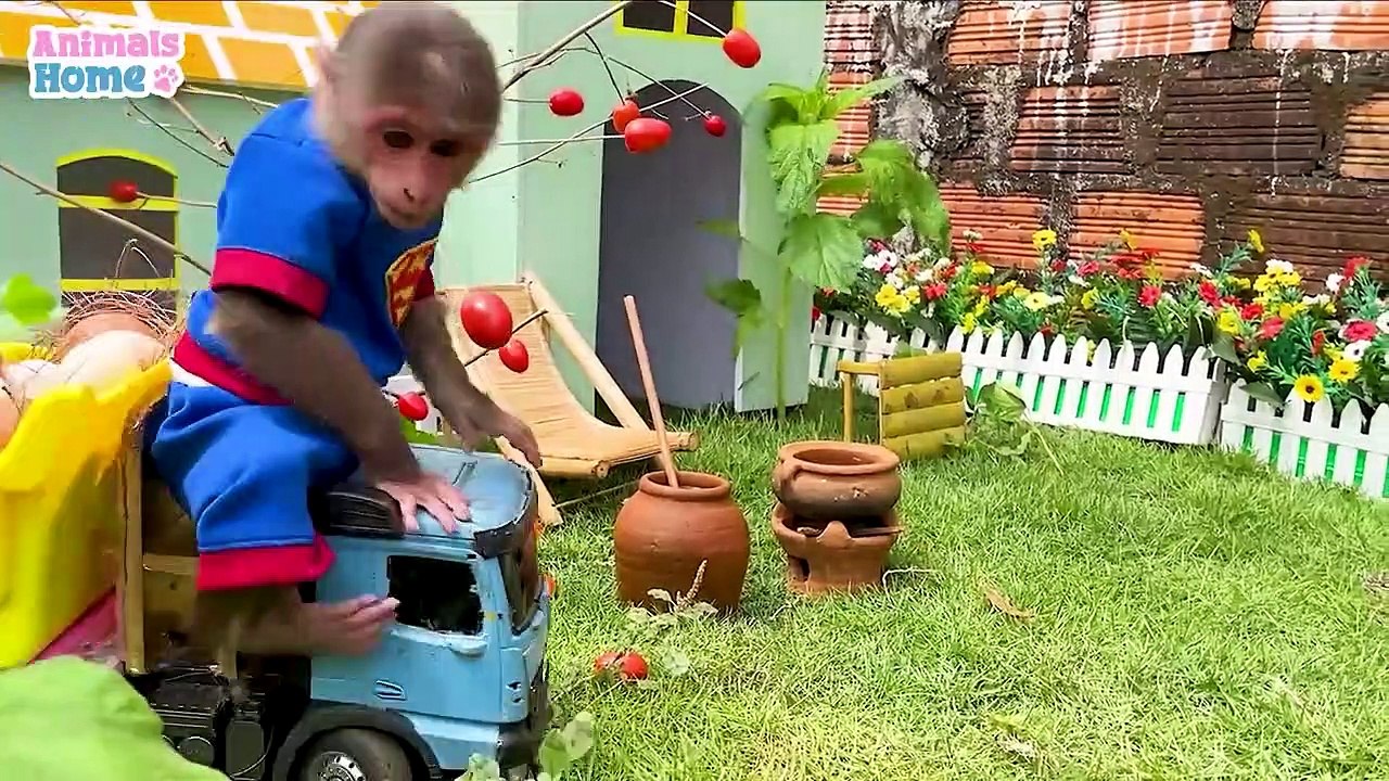 Chef BiBi in Pretend Play Cooking Video for Toddlers