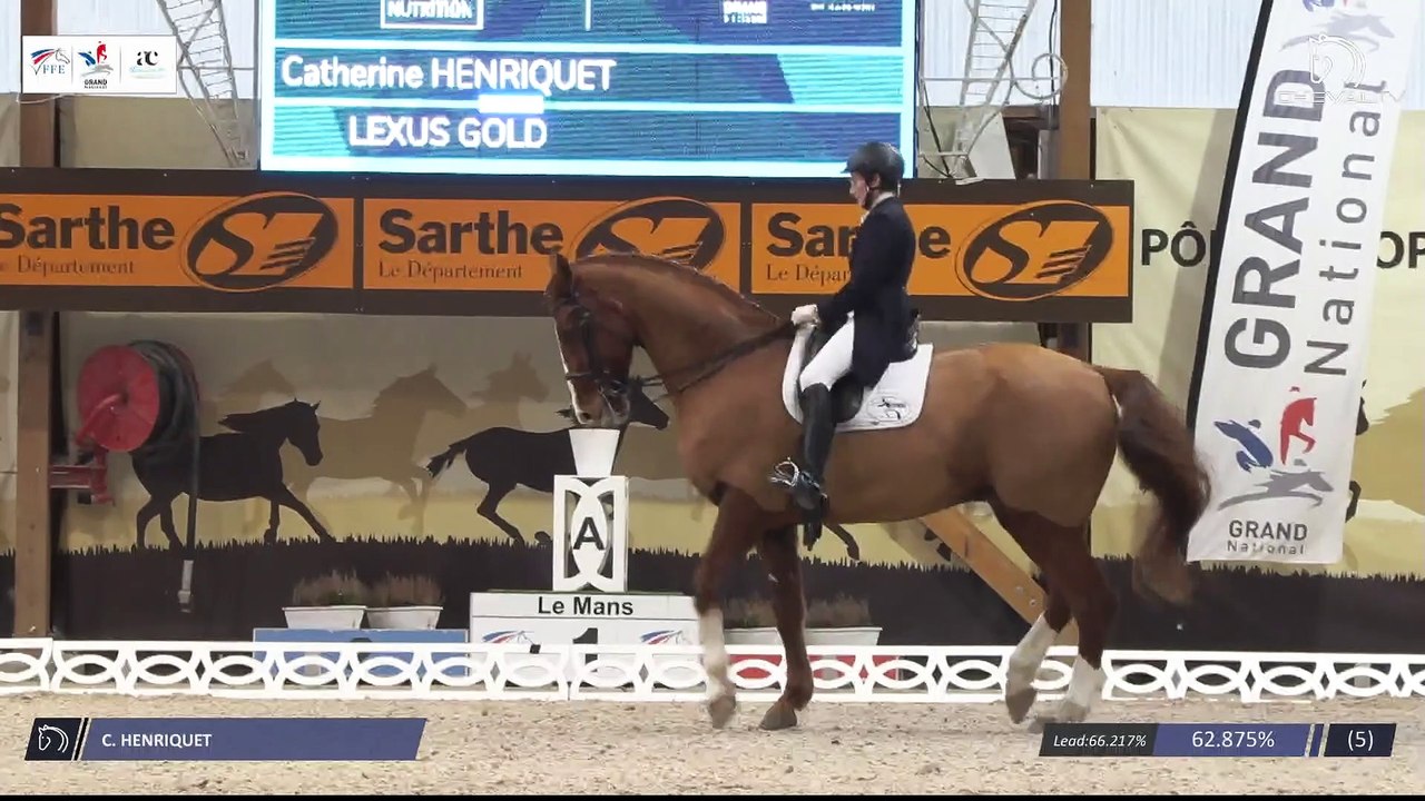 Grand National FFE - AC Print - Dressage | Le Mans (FRA) | Catherine HENRIQUET | LEXUS GOLD