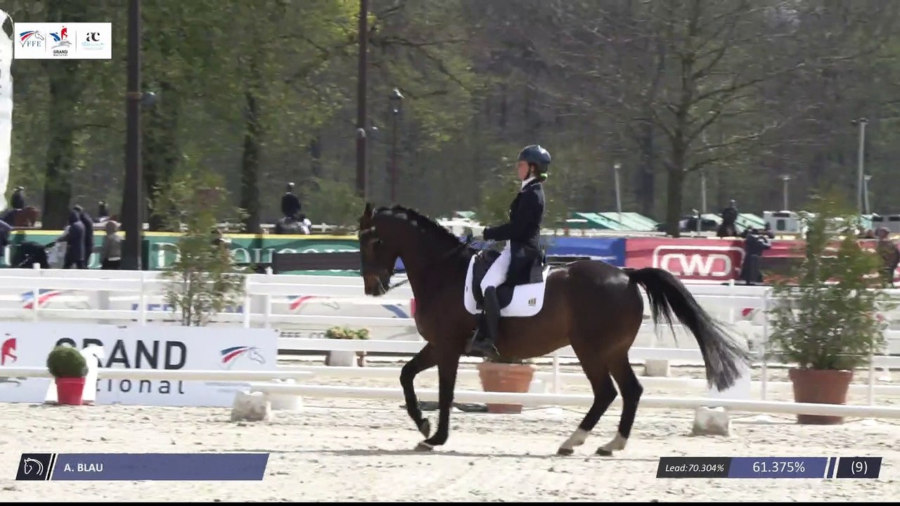 Grand National FFE - AC Print - Dressage  | Haras de Jardy (FRA) | Audrey BLAU | FIDJI