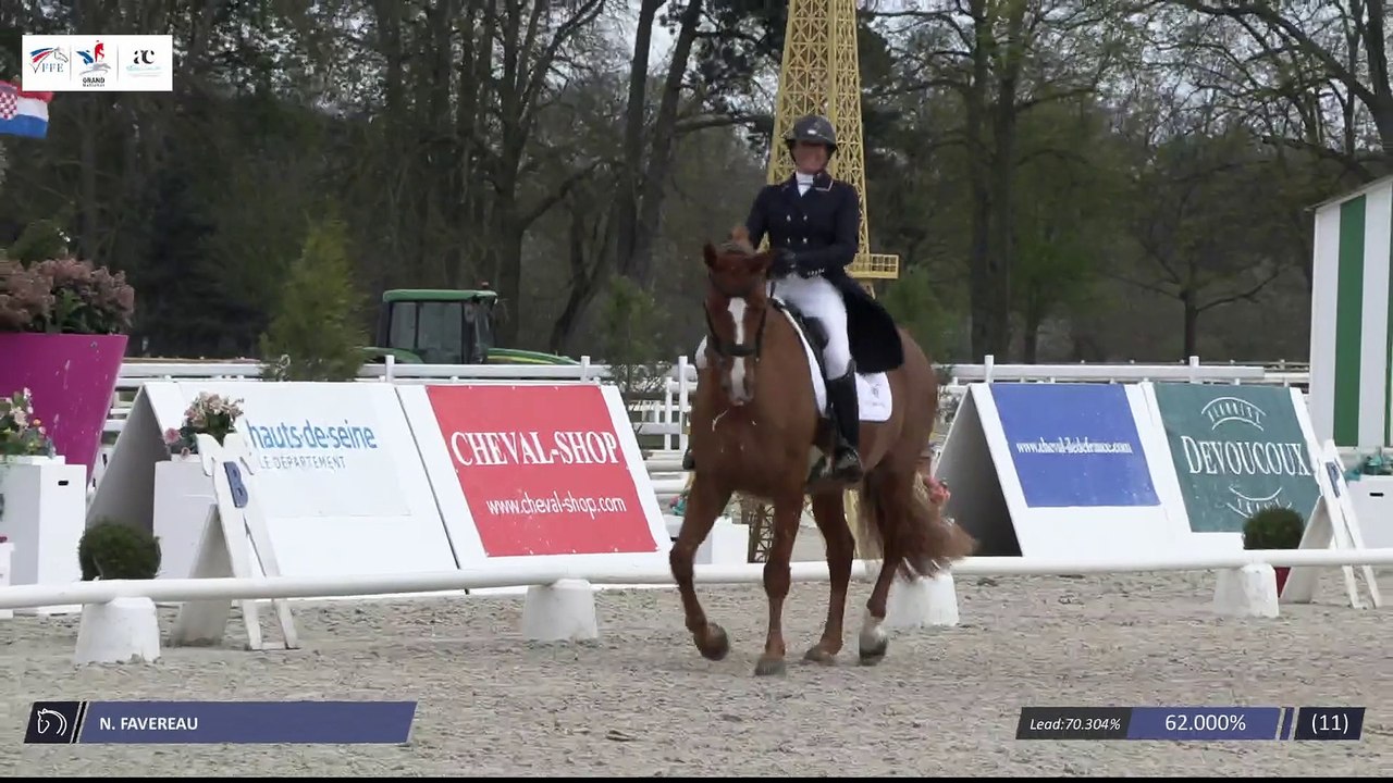 Grand National FFE - AC Print - Dressage  | Haras de Jardy (FRA) | Nicole FAVEREAU | GINSENGUE