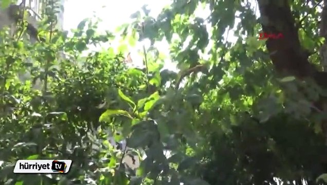 Silopi'de güvenlik güçleri ile PKK'lılar arasında çatışma çıktı