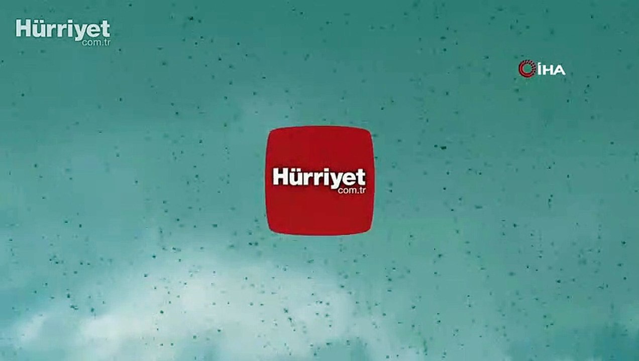 Çekirge sürüleri Dubai'yi istila etti