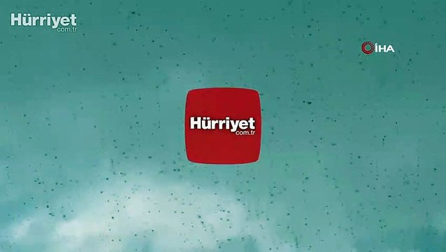 Çekirge sürüleri Dubai'yi istila etti