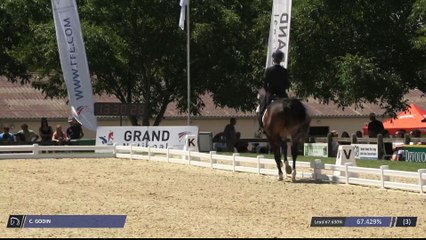 Master Pro | Dressage | Vierzon (FRA) | Caroline GODIN | QUERIDA DE HUS