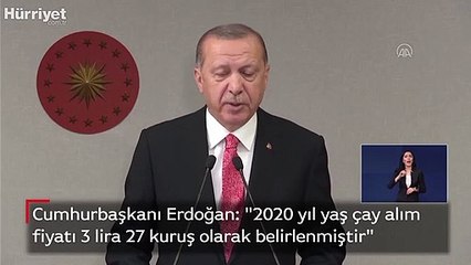 Erdoğan: "2020 yıl yaş çay alım fiyatı 3 lira 27 kuruş olarak belirlenmiştir"