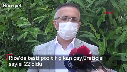 Rize'de testi pozitif çıkan çay üreticisi sayısı 22 oldu