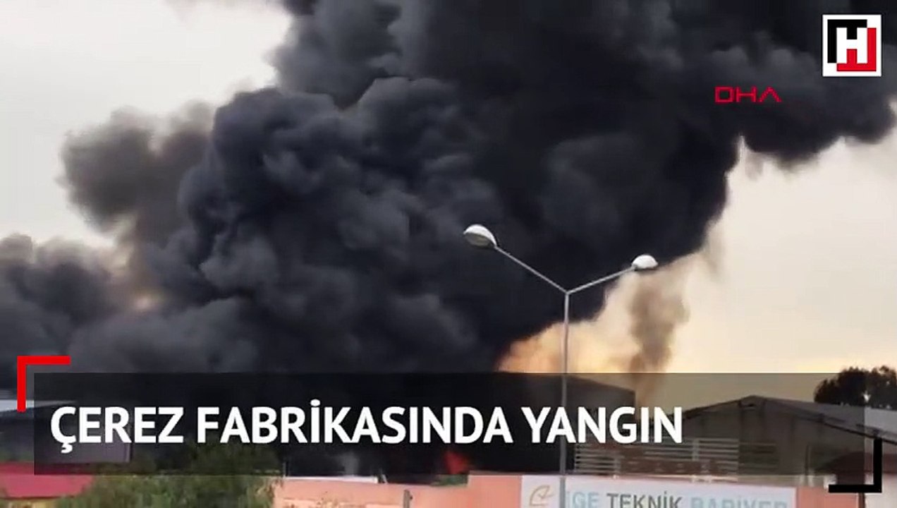 Kuruyemiş fabrikasında korkutan yangın