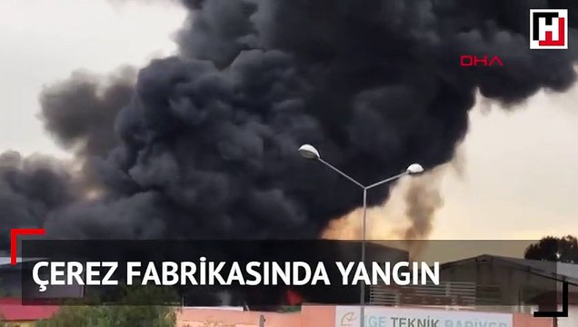 Kuruyemiş fabrikasında korkutan yangın