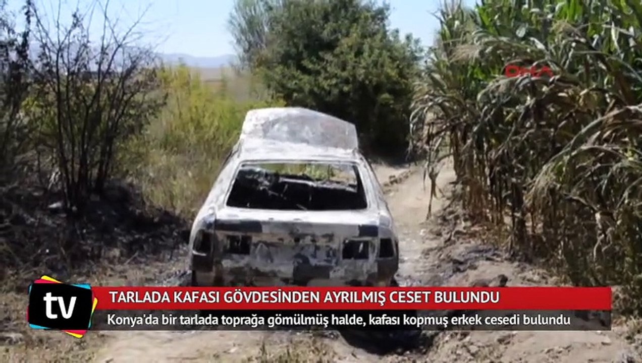 Tarlada kafası gövdesinden ayrılmış erkek cesedi bulundu