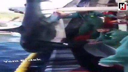 Köpek balığını tekmeledi, yumrukladı