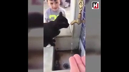 Kediye elleriyle su içiren çocuk