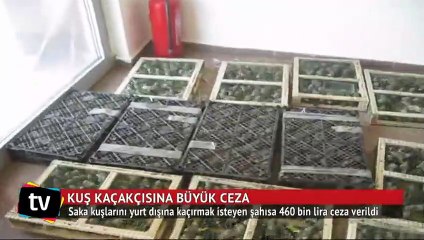 Saka kuşu kaçakçısına astronomik ceza