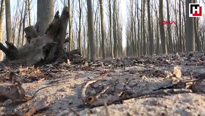 Trakya'da, çiftçilerin kuraklık endişesi