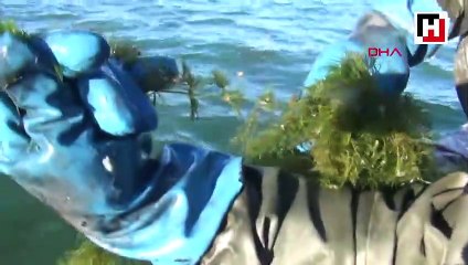 'Zebra midye', Çıldır Gölü'nü de tehdit ediyor