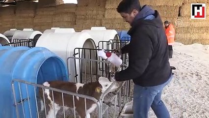 ABD'de eğitim aldı, işini bırakıp çiftlik kurdu, şimdi...