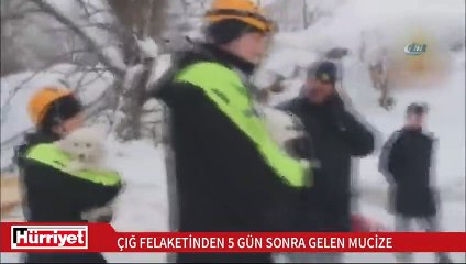 İtalya’daki çığ felaketinden 5 gün sonra 3 köpek yavrusu kurtarıldı