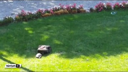 Kaplumbağanın robotla imtihanı