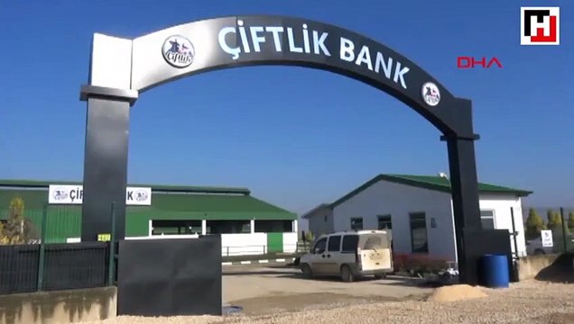  Çiftlik Bank soruşturmasında 3 şirkete kayyum atandı