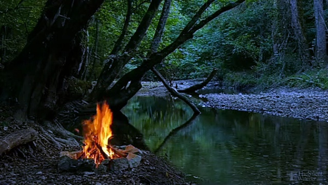 Camp