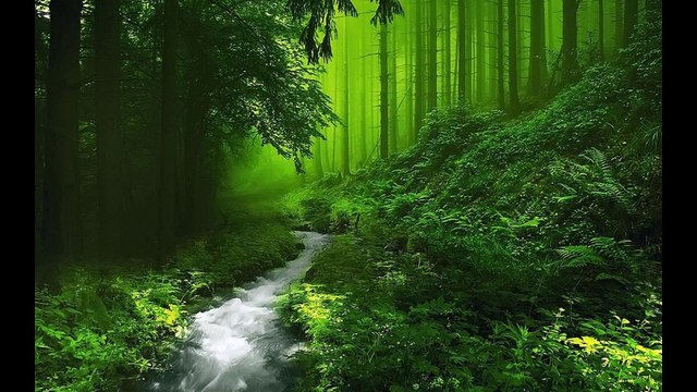 9 Minutes - Sleep, Relax, Meditation, Spa, Calm, Yoga, Destress music