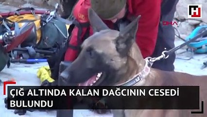 Çığ altında kalan dağcının cesedi bulundu