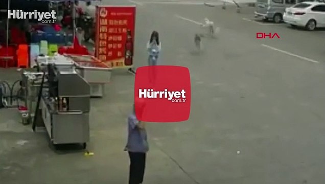 Koşan köpeğin tasması ayağına takılıp hayatını kaybetti