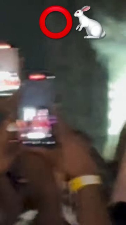 Bray Wyatt New Entrance - WWE Smackdown #wwe #braywyatt