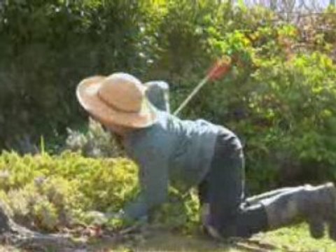 Alilou386 péte les plombs!!