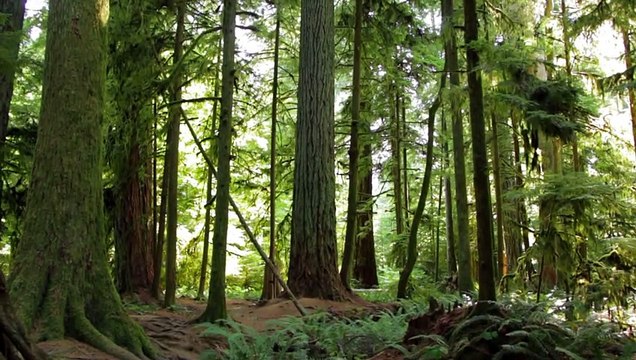 Music Therapy - 10 Minutes Binaural Meditation Music- Powerful Binaural Beats Tibet Bowls