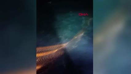TEKİRDAĞLI BALIKÇILAR, KARADENİZ'DEKİ PALAMUT BOLLUĞUNDAN MEMNUN