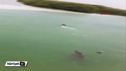 Küçük çocuk peşine düşen dev timsahtan son anda kurtuldu