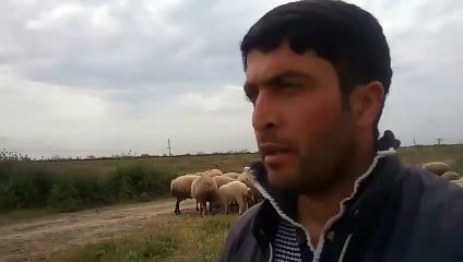 Güzel sesli çobandan 'Nazende sevgili'