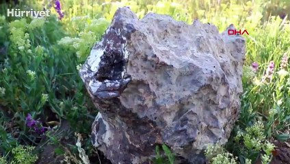 Tarlada bulduğu 'gök taşını' satılığa çıkardı