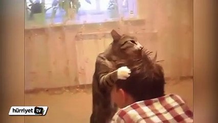 'Saçlarını buzağı mı yaladı' sözü tarihe karışıyor