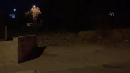 Muğla gündem haberleri: Bodrum'da aç kalan yaban domuzları şehir merkezine indi