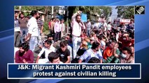 Migrant Kashmiri Pandit employees protest against civilian killing in Jammu and Kashmir