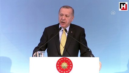 Cumhurbaşkanı Erdoğan: Kuruluş prosedürünü tamamladık
