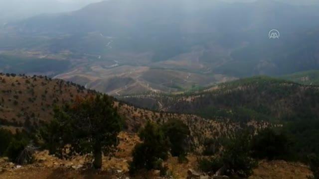 Son dakika haber... Yıldırım düşmesi sonucu ormanlık alanda çıkan yangın söndürüldü