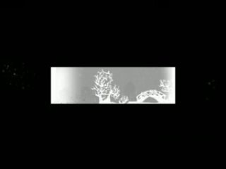 PROJET TARKOS "il neige encore une fois"