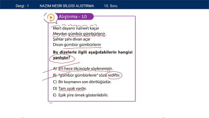 Türk Edebiyatı-Nazım Nesir Bilgisi Alıştırmalar Soru:10
