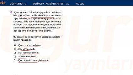 Türkçe - Deyimler ve Atasözleri Test 2 Soru : 13