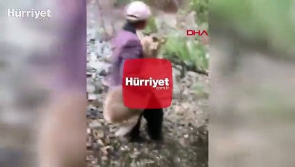 Yaralı dağ keçisini kilometrelerce sırtında böyle taşıdı